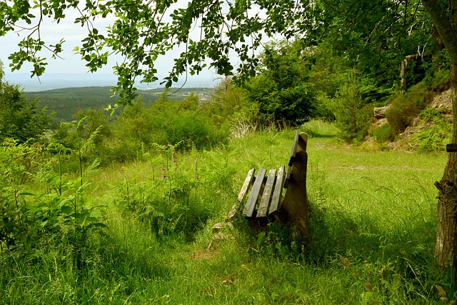 他已經吸引 他已經吸引
