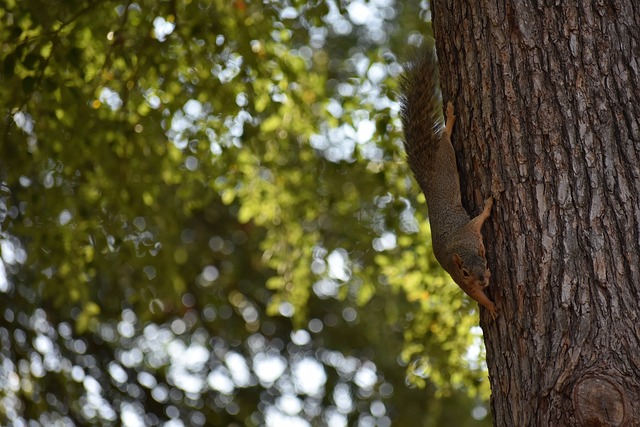 了更有温度 了更有温度